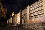 PICTURES/Cordoba - Mosque-Cathedral/t_Mosque-Cathedral Night 2.JPG